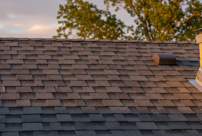 Close-up of brown asphalt shingles with roof vent at golden hour sunset